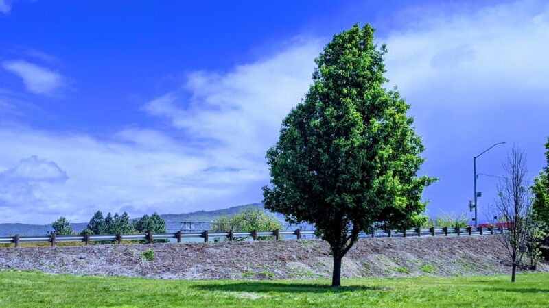 Glengrove Wayside Park - Central Point, OR