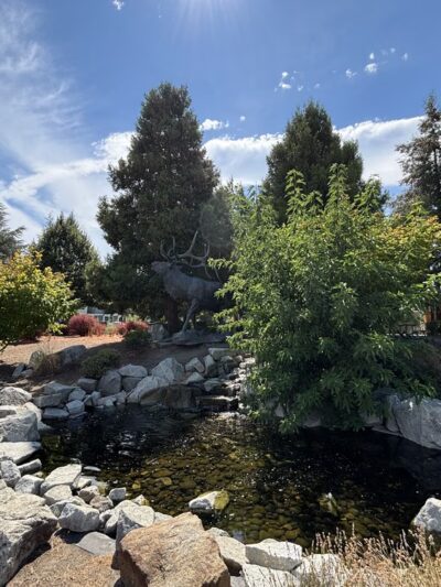 Twin Creeks Park - Central Point, OR