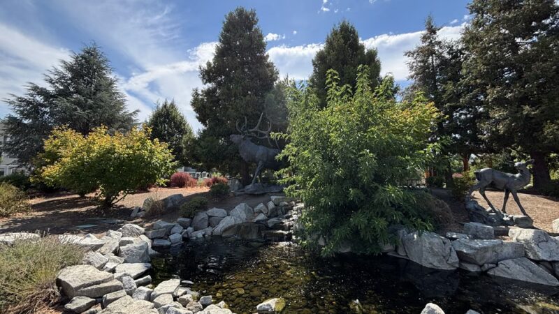 Twin Creeks Park - Central Point, OR