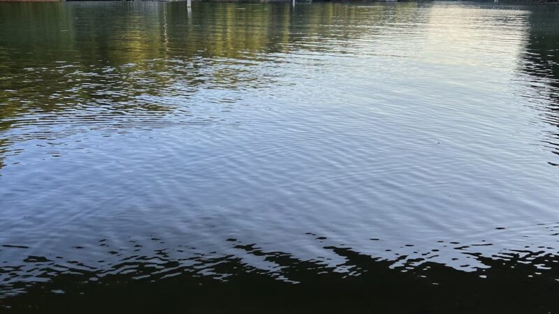 Equoni Point: A Pickens County Park - Central, SC