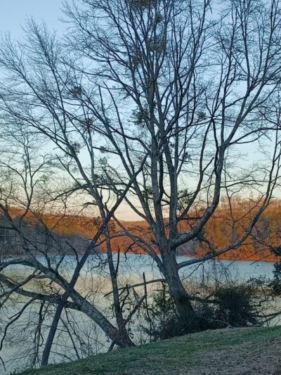 Equoni Point: A Pickens County Park - Central, SC