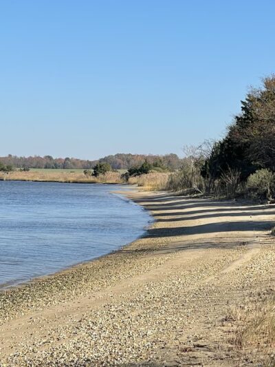Conquest Preserve Trailhead Parking - Centreville, MD