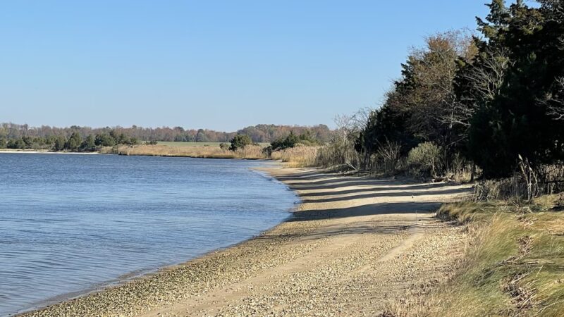Conquest Preserve Trailhead Parking - Centreville, MD
