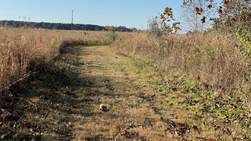 Conquest Preserve Trailhead Parking - Centreville, MD