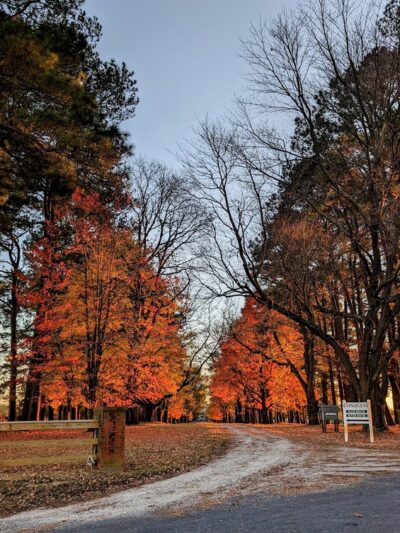 Conquest Preserve Trailhead Parking - Centreville, MD