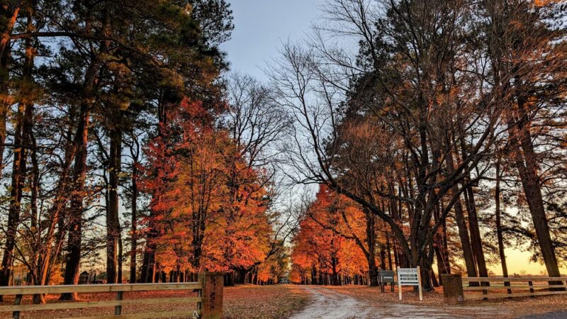 Conquest Preserve Trailhead Parking - Centreville, MD