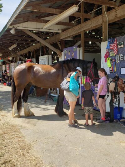 Queen Anne's County Fair - Centreville, MD