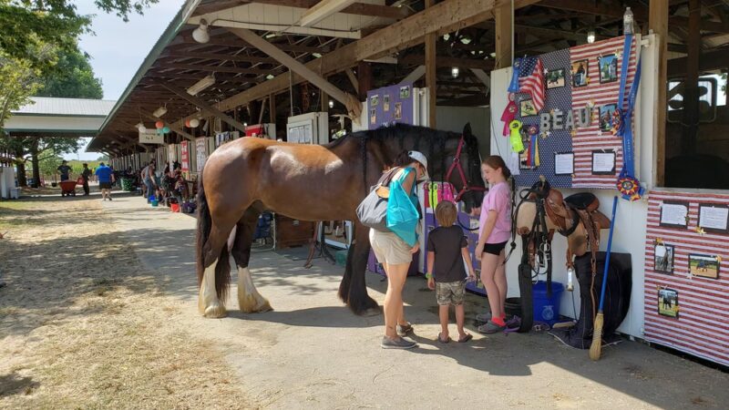 Queen Anne's County Fair - Centreville, MD