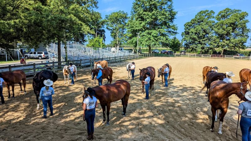 Queen Anne's County Fair - Centreville, MD