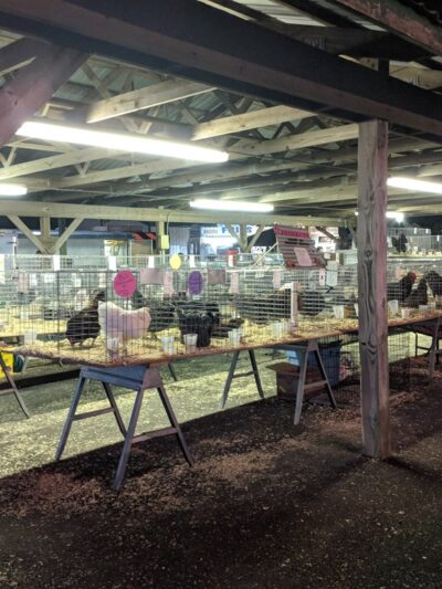Queen Anne's County Fair - Centreville, MD