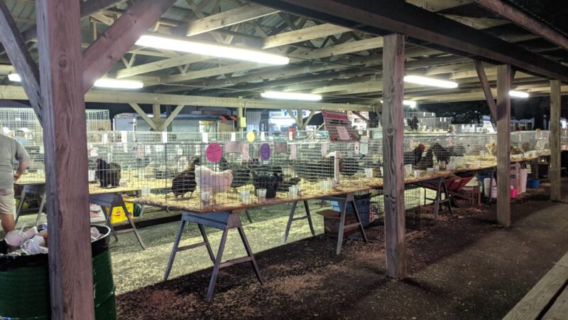 Queen Anne's County Fair - Centreville, MD