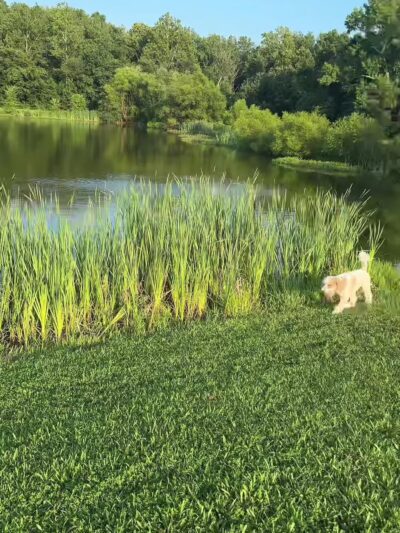 Queen Anne's County Parks - Centreville, MD