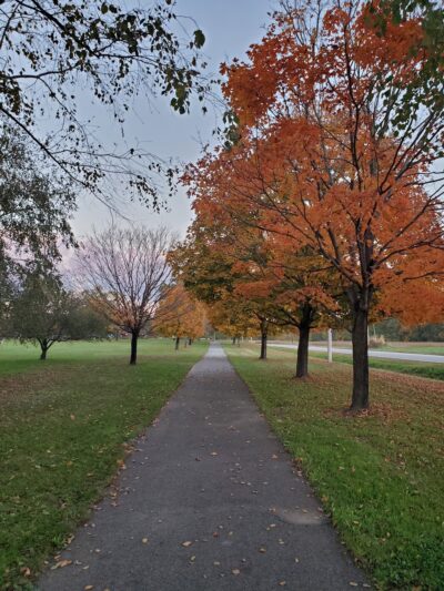 Queen Anne's County Parks - Centreville, MD