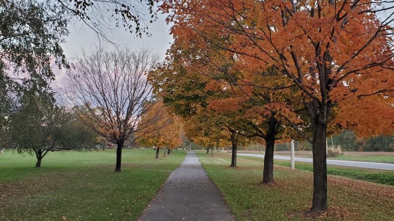 Queen Anne's County Parks - Centreville, MD