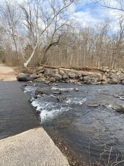 Cub Run Stream Valley Park - Centreville, VA