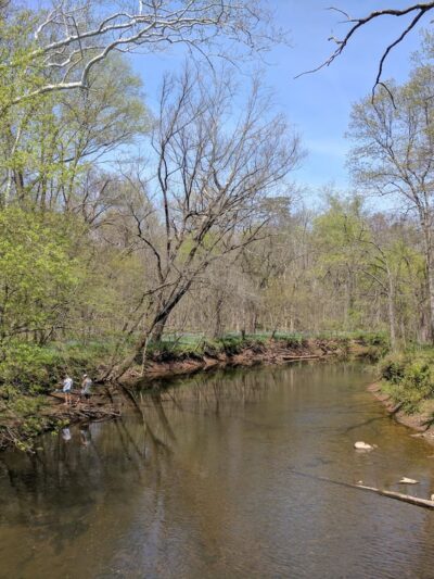 Cub Run Stream Valley Park - Centreville, VA