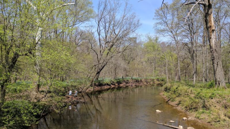 Cub Run Stream Valley Park - Centreville, VA