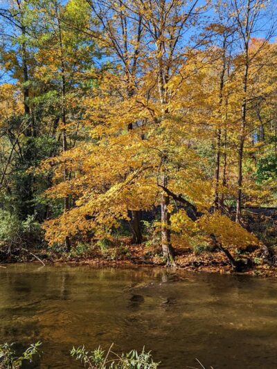 Chadwicks Park - Chadwicks, NY