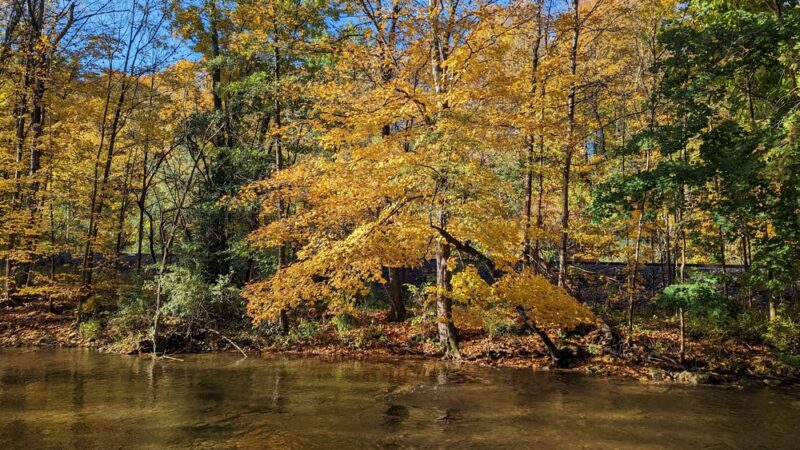 Chadwicks Park - Chadwicks, NY
