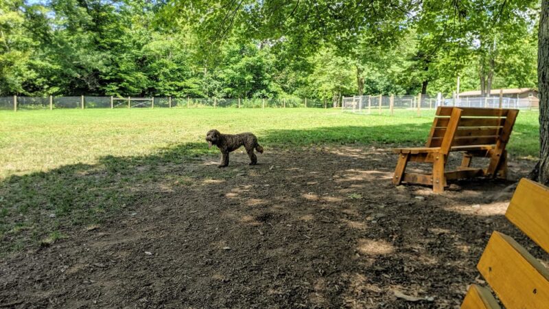 Centerville Mills Dog Park - Chagrin Falls, OH
