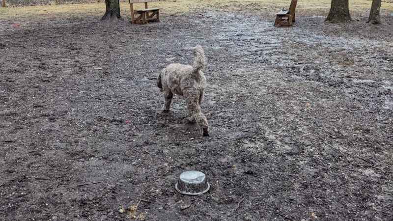 Centerville Mills Dog Park - Chagrin Falls, OH