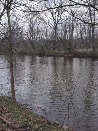 J. Clyde and Joan Derstine Memorial Park - Chalfont, PA