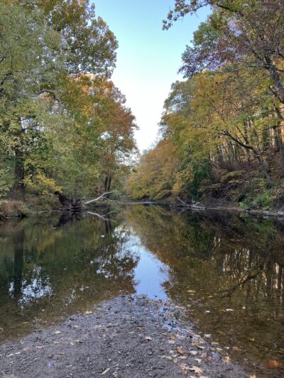 J. Michael Bishop Memorial Park - Chalfont, PA