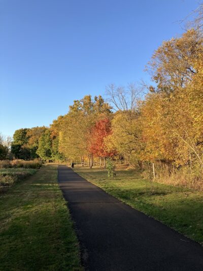 J. Michael Bishop Memorial Park - Chalfont, PA