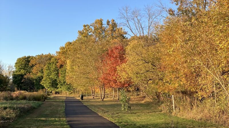 J. Michael Bishop Memorial Park - Chalfont, PA