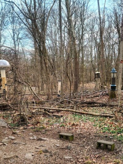 John Paul Park At Lower Nike (Formerly Lower Nike Park) - Chalfont, PA