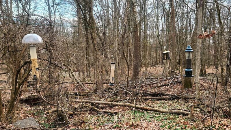 John Paul Park At Lower Nike (Formerly Lower Nike Park) - Chalfont, PA