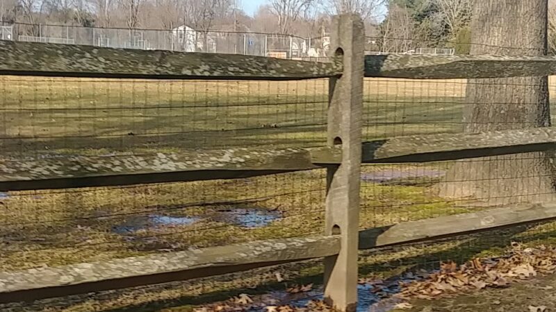 North Branch Park - Chalfont, PA