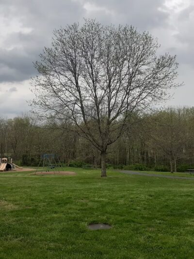 Peace Valley Park Playground - Chalfont, PA