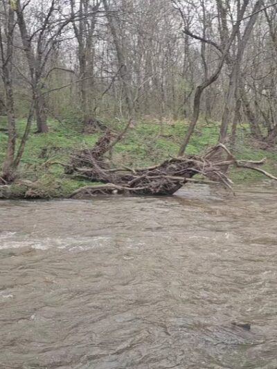 Twin Streams Park - Chalfont, PA