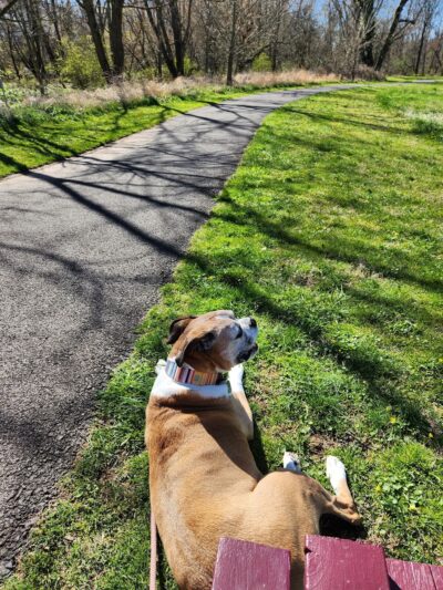 Twin Streams Park - Chalfont, PA