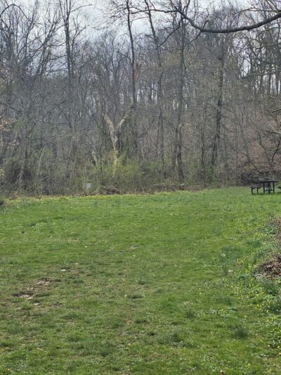 Twin Streams Park - Chalfont, PA