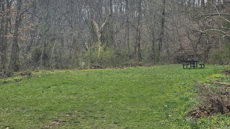 Twin Streams Park - Chalfont, PA