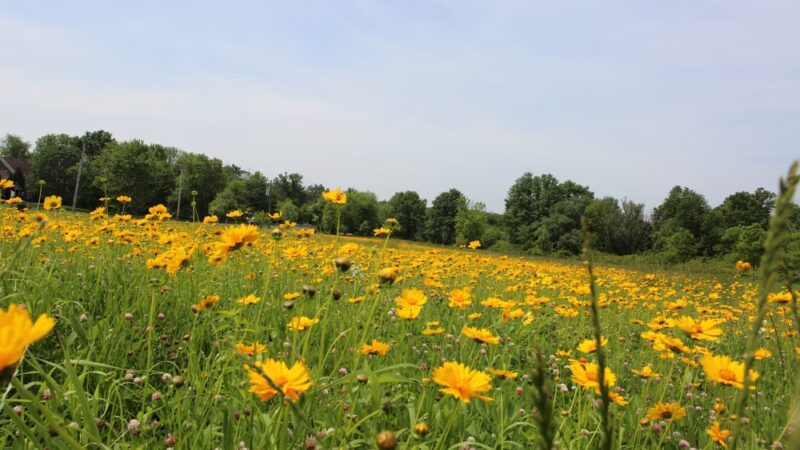 Veterans Park - Chalfont, PA