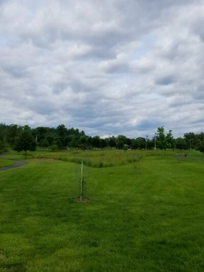 Walking path at the new Veterans Park - Chalfont, PA