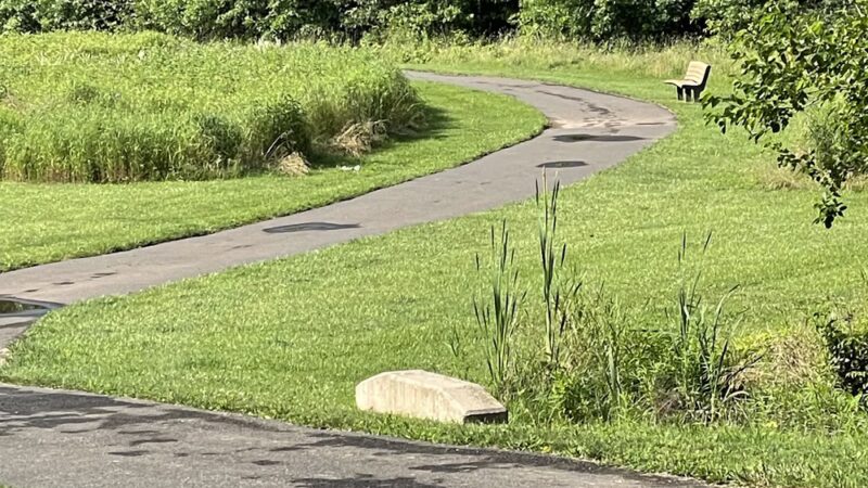 West Branch Park - Chalfont, PA