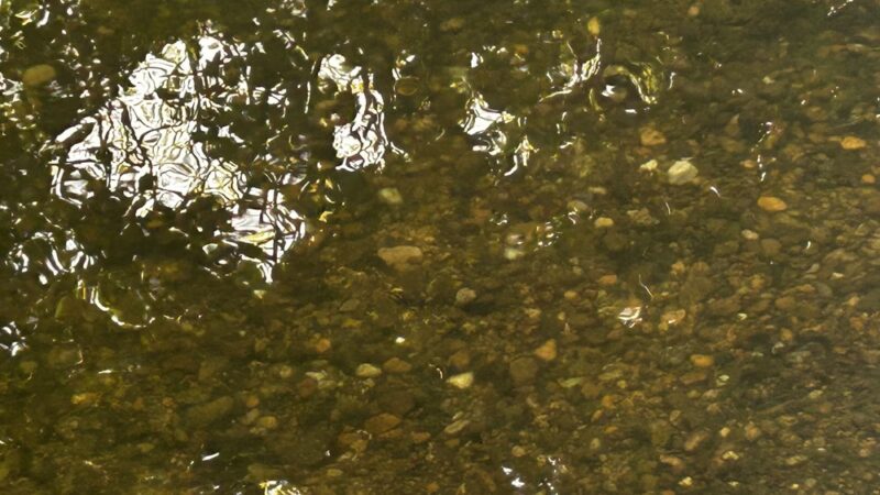Northwood Park - Chambersburg, PA