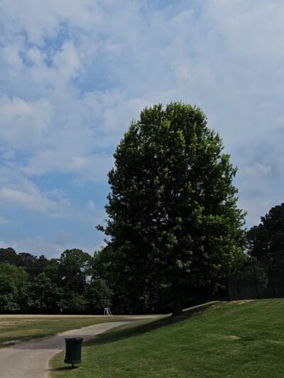 Dresden Park - Chamblee, GA