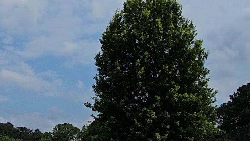 Dresden Park - Chamblee, GA