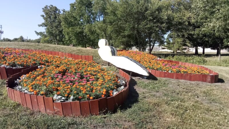 Dodds Park - Champaign, IL