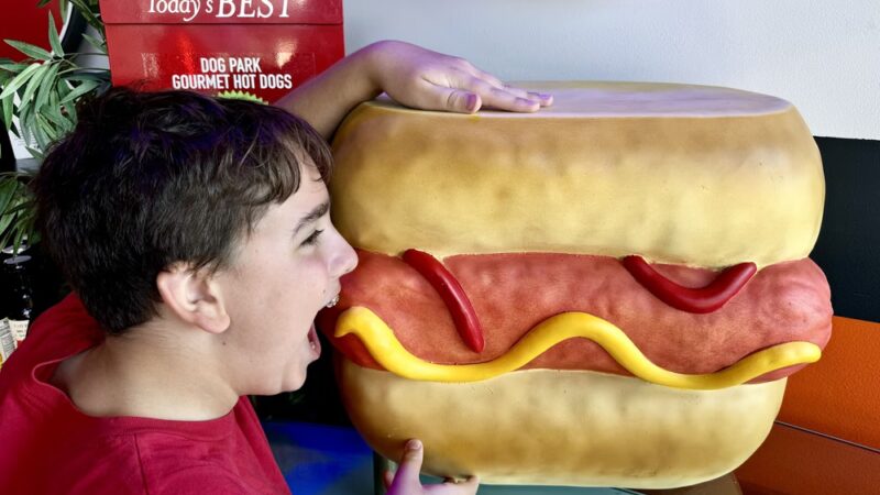 Dog Park Gourmet Hot Dogs - Chanhassen, MN