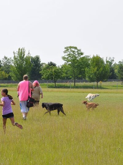 Lower Rock Run Preserve - McClintock Road Access - Channahon, IL