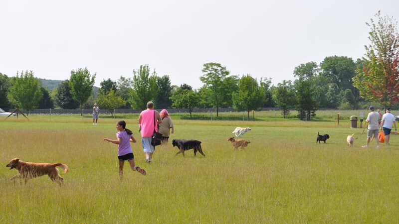 Lower Rock Run Preserve - McClintock Road Access - Channahon, IL