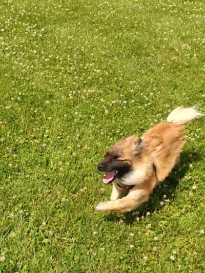 Lower Rock Run Preserve - McClintock Road Access - Channahon, IL