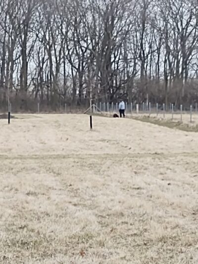 Lower Rock Run Preserve - McClintock Road Access - Channahon, IL