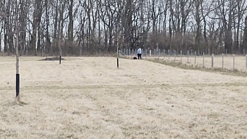 Lower Rock Run Preserve - McClintock Road Access - Channahon, IL
